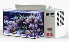 圖11　中小型水族缸專用的雙致冷晶片散熱器、魚缸外部貼膜（漁業署提供）