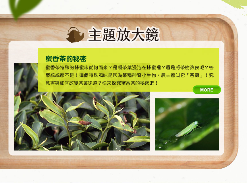 COA第164期電子報