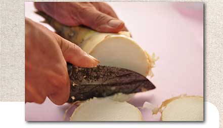 竹筍都抹好年冬毒藥？到底能不能吃？