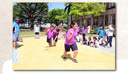 翁園國小種稻、玉米，深度學習農業意義