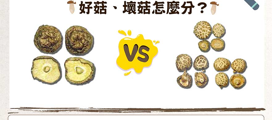 好菇、壞菇怎麼分？