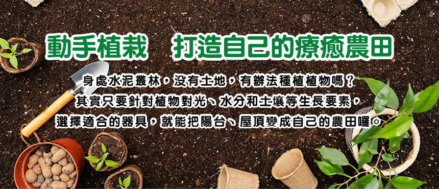 動手植栽　打造自己的療癒農田