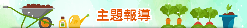 主題報導