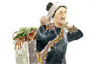 原住民耕種小米的智慧及文化