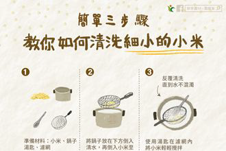 簡單三步驟　小米輕鬆洗、美味煮