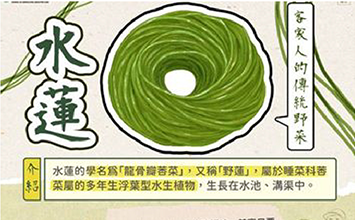 清香質地爽脆的水蓮