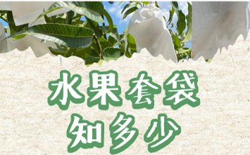 水果套袋知多少