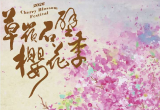 2026古坑草嶺石壁櫻花季