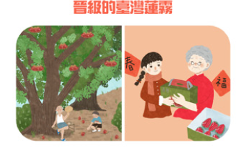 一起看為什麼越紅的蓮霧越甜呢?