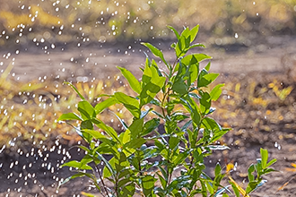 新竹嚴峻旱象 智農灌溉節水抗旱
