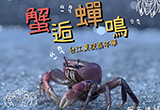 夏夜限定｜蟹逅蟬鳴 生態小旅行