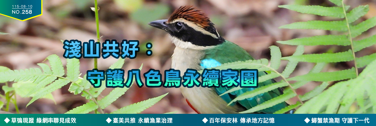 淺山共好：守護八色鳥永續家園 