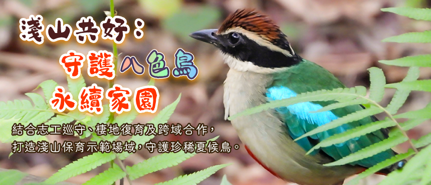 生態綠網|編織的農業藍圖