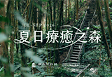【薰衣草森林台中新社園區】2026夏日療癒之森