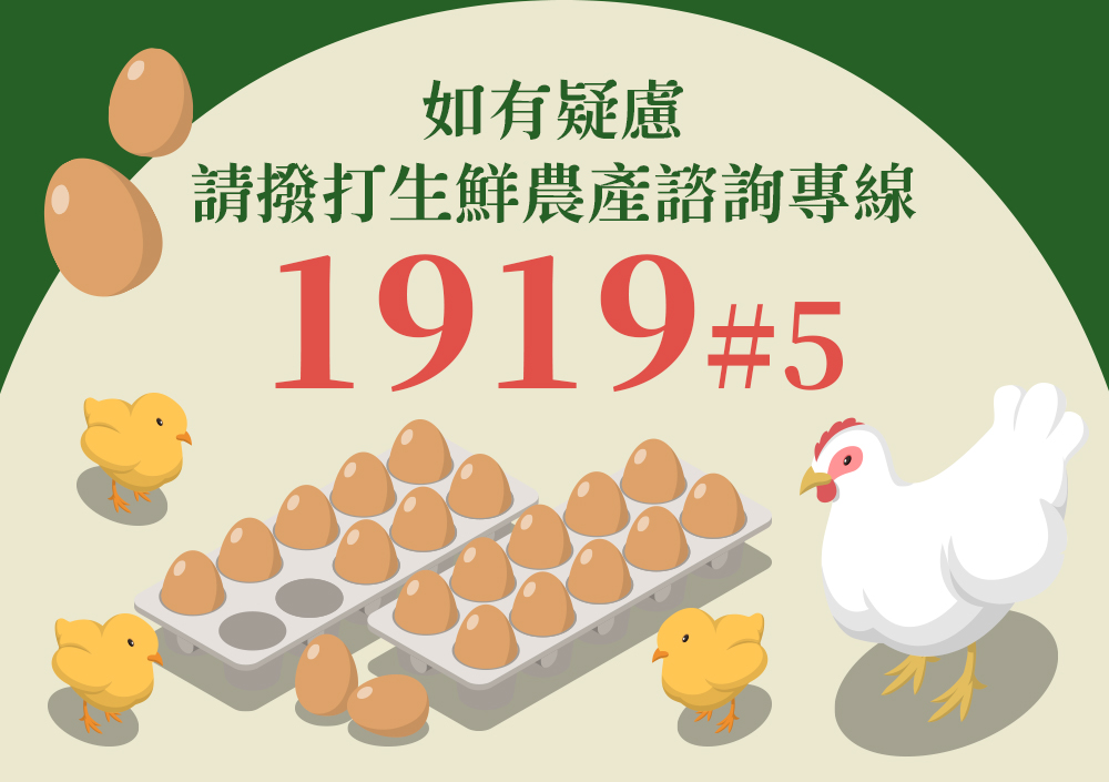 雞蛋專案進口-1919