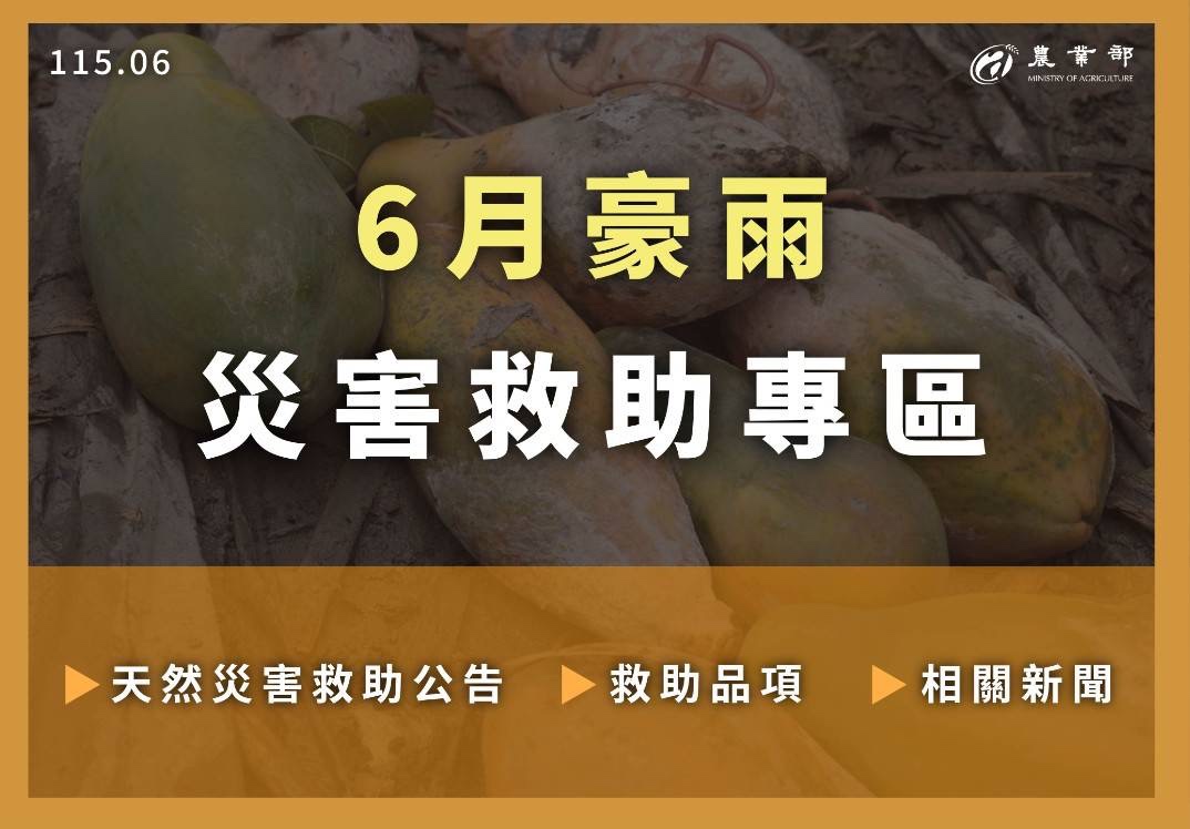 6月豪雨災害救助專區