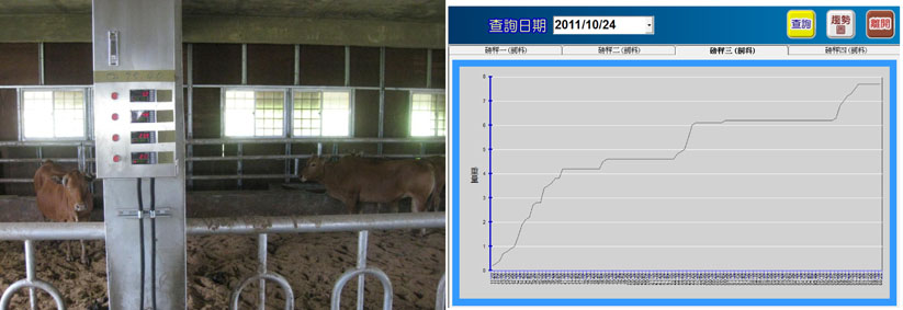 圖2 飼料槽自動磅秤系統定時回傳剩餘飼料量至伺服器