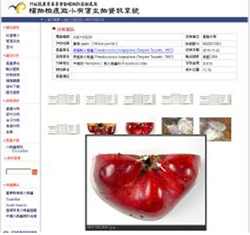 圖5 b.點按「小圖」，呈現大圖