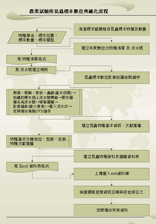 圖1 農試所館藏昆蟲標本數位典藏化流程圖