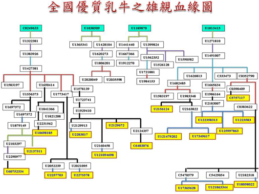 圖8、追蹤 2010 年 DHI 資料庫 235 頭符合5項選拔條件之優質女兒牛之雄親系譜資訊,結果顯示主要來自 19 頭公牛之後裔,以追溯程式瞭解其血緣關係,發現最頂端 4 頭家族公牛其國際登錄碼分別是: CAN000000249633、USA000001038509、USA0000001189870 與 USA000001013415。 圖8、追蹤 2010 年 DHI 資料庫 235 頭符合5項選拔條件之優質女兒牛之雄親系譜資訊,結果顯示主要來自 19 頭公牛之後裔,以追溯程式瞭解其血緣關係,發現最頂端 4 頭家族公牛其國際登錄碼分別是: CAN000000249633、USA000001038509、USA0000001189870 與 USA000001013415。