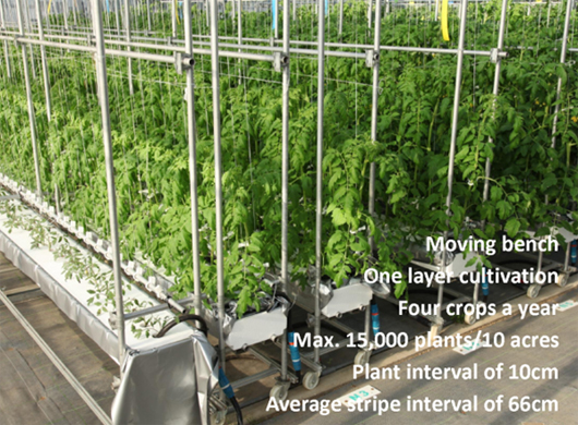 圖三、利用可移動式床架可進行作物4個不同生長階段的栽培管理與進行內部空間的調節運用以增加植株密度(Maruo Toru, Chiba University, Japan) 圖三、利用可移動式床架可進行作物4個不同生長階段的栽培管理與進行內部空間的調節運用以增加植株密度(Maruo Toru, Chiba University, Japan)