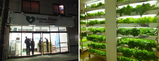 ��1�B���Ӥ��q���������~�[�P�䩱����������Ѯ���Ӫ��u�t