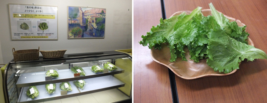 ��2�B���Ӥ��q�Ӫ��u�t���Q�o���Үi�ܪ�����P�K�~�Y�i�ͭ��������U��