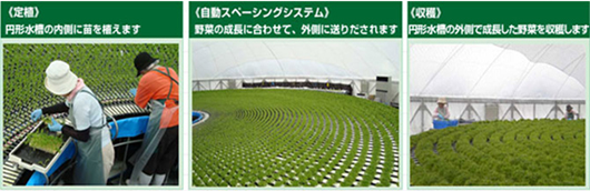 ��6�B�곻���Ӫ��u�t���@�~�y�{�P�覡