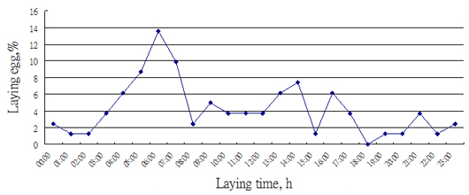 圖2、種鵝產蛋時間分布情形