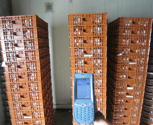 圖14、在出貨前進行讀取