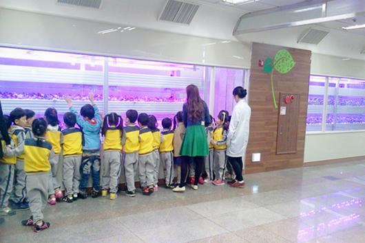 圖2、仁川東區松林地下道植物工廠吸引孩童參觀(引用自Aving.net)