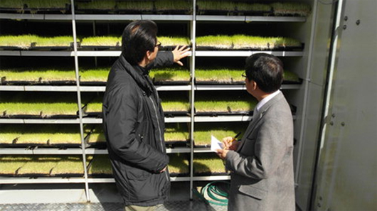 圖5、忠清北道農業技術院發展之貨櫃型大麥草粗飼料生長箱（引用自chuksannews.co.kr）