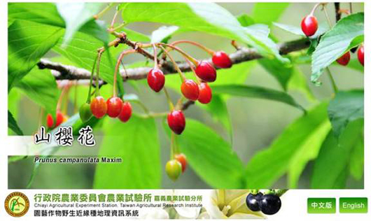 圖1、園藝作物野生近緣種地理資訊系統首頁