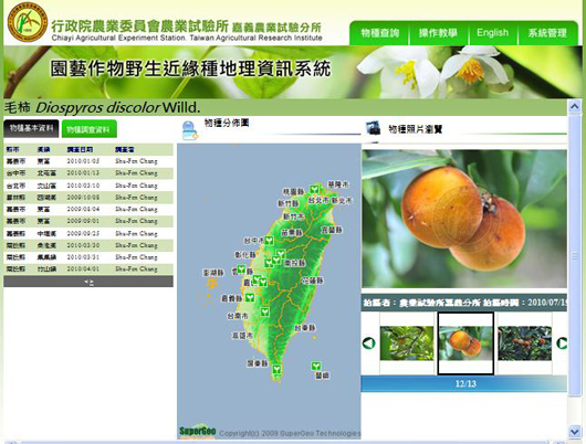圖4、毛柿的地理分佈資訊調查資料