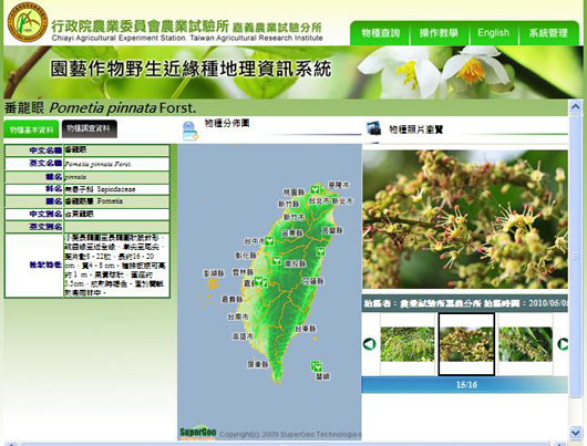 圖5、番龍眼的物種基本特性資料