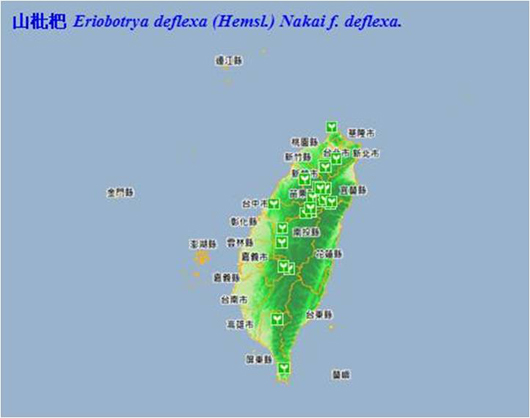圖6、山枇杷的物種分佈圖
