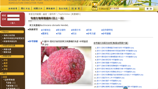 圖5、利用T-Pests字串查詢功能，查詢東方果實蠅單筆資料表