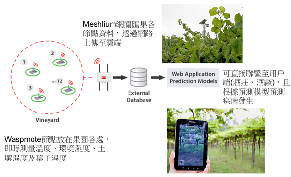 圖2、Libelium「智慧葡萄栽培計劃」設置方案