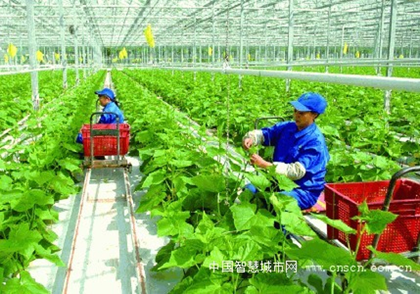 圖3、天津市「農業物聯網區域試驗工程」設施農業示範基地