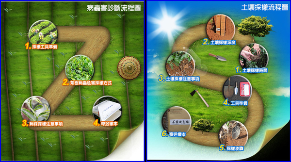 圖2、茶園安全用藥及合理化施肥決策支援系統中，規劃本場病蟲害診斷及土壤採樣與檢測服務流程，同時搭配本場土壤檢測服務，得以自行線上輸入土壤肥力檢測數據，取得診斷結果及建議報告書