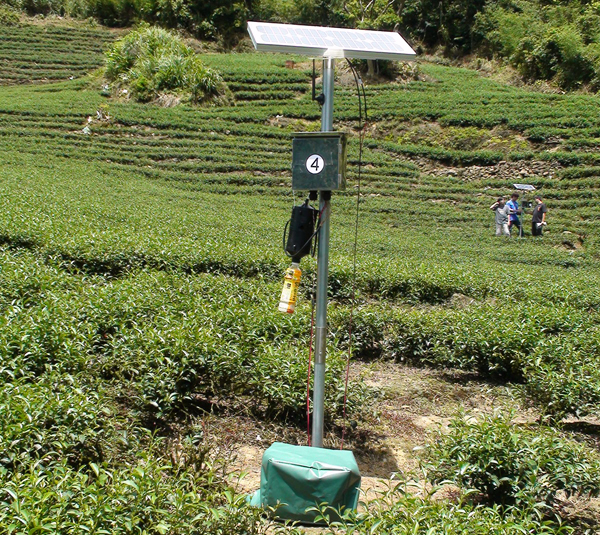 圖2、茶園害蟲與環境監測裝置建置情形
