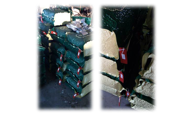 圖4、系統示範點使用情形：將 RFID 晶片懸掛於茶葉包裝底部，藉由晶片感應可進入系統內查詢該茶葉產品原料來源、加工過程、農藥殘留檢驗紀錄等資訊。