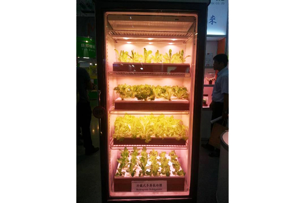 圖2、可以在家裏種植的冷藏式多層栽培櫃