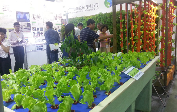 圖3、家庭式魚菜共生示範