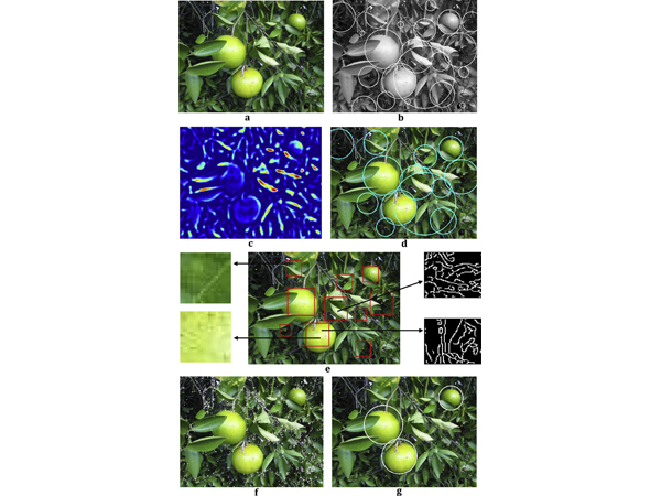 圖1、演算法流程示意圖 圖1、演算法流程示意圖