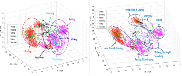 左圖顯示紀錄一隻乳牛的資料分布的狀態；右圖加入時間序列以辨識不同的行為模式