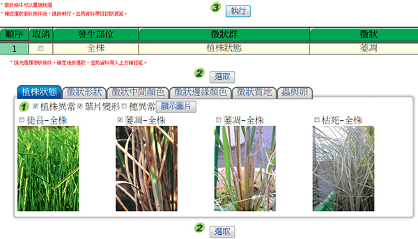 (C) 顯示符合所選徵狀的照片供比對
