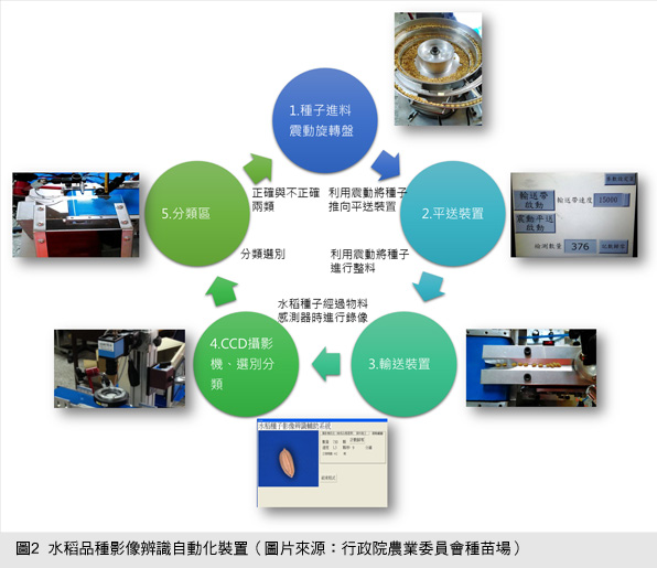 圖2  水稻品種影像辨識自動化裝置（圖片來源：行政院農業委員會種苗場）