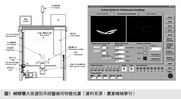 圖1  蝴蝶蘭大苗選別系統暨幾何特徵估算（資料來源：農業機械學刊）