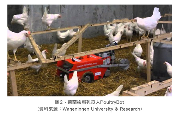 圖2.荷蘭撿蛋機器人PoultryBot